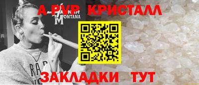гидра Моздок