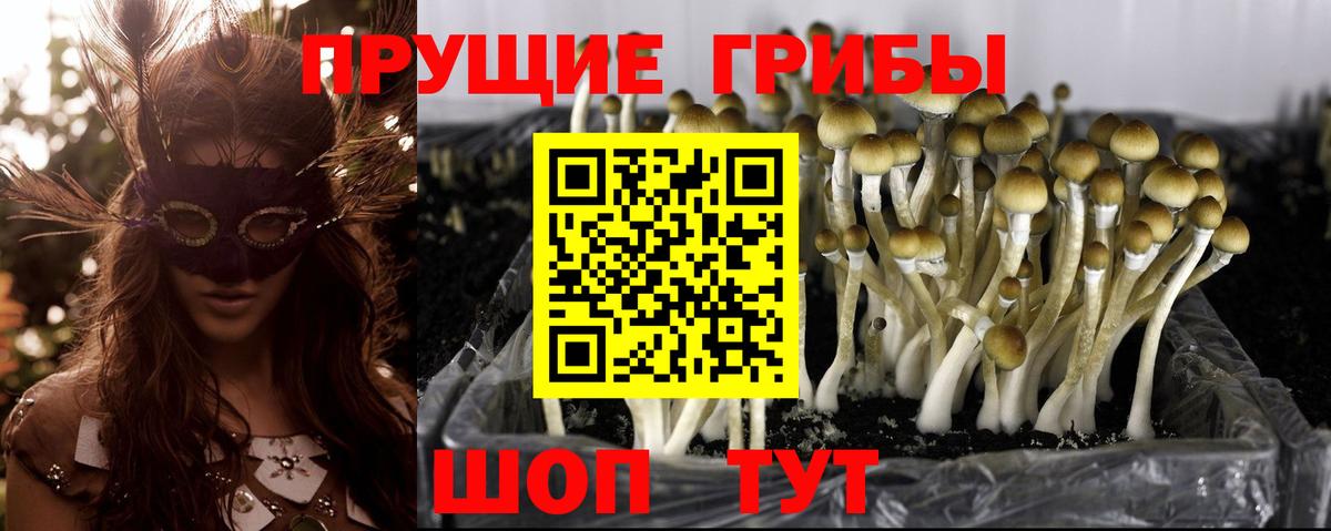 МАРИХУАНА  Великие Луки  Вход с VPN  МЕФ   Гашиш 
